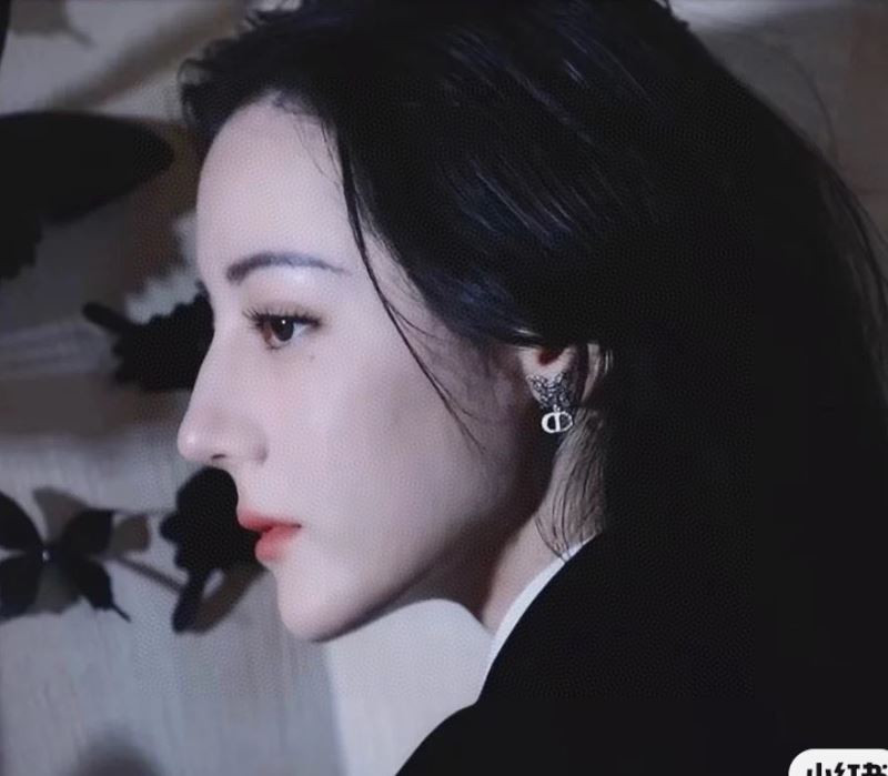 chr1st1an D10r earrings